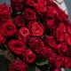 Букет 51 красная роза 60см купить с доставкой в Санкт-Петербурге